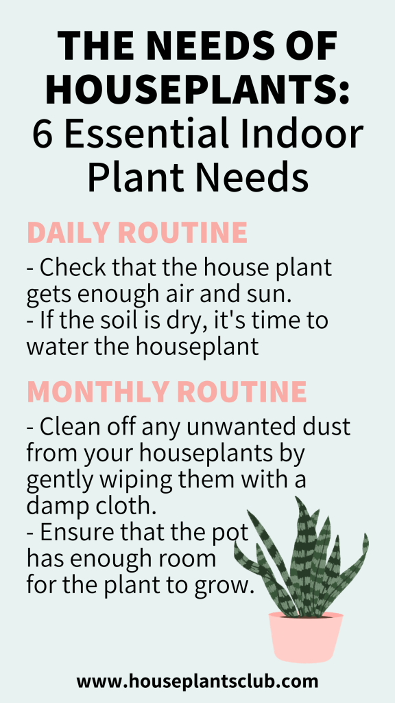 What Would Be The Daily Routine Of Indoor Plants