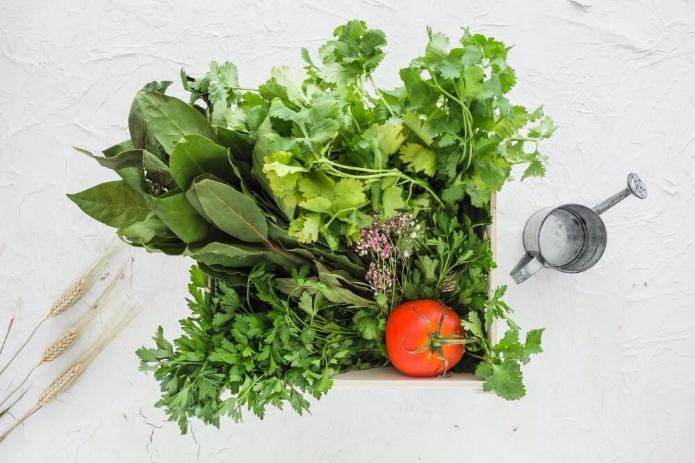 Grow your own veggies and herbs