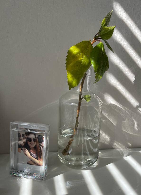 my propagate process